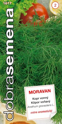 Dobrá semena Kopr vonný - Moravan 3g - VÝPRODEJ