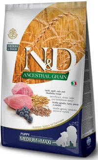 N&D ANCESTRAL GRAIN Dog LG Puppy Medium & Maxi Lamb & Blueberry 2,5 kg - VÝPRODEJ