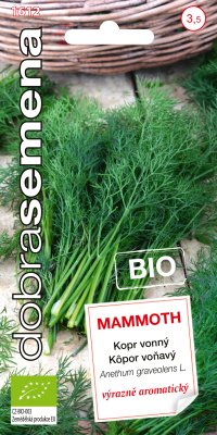 Dobrá semena BIO Kopr vonný -  Mammoth 3g - VÝPRODEJ