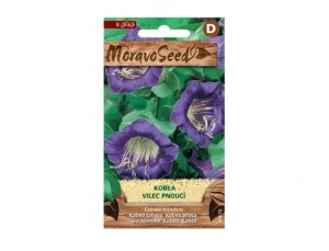 Kobea - Vilec pnoucí, fialová 00670 - VÝPRODEJ