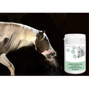Inhalační sůl Dromy pro koně 1kg - VÝPRODEJ