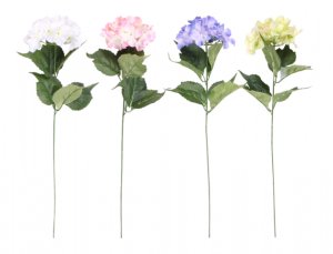 Květina HORTENZIE KVĚT LÉTO X1 65cm 14cm - VÝPRODEJ